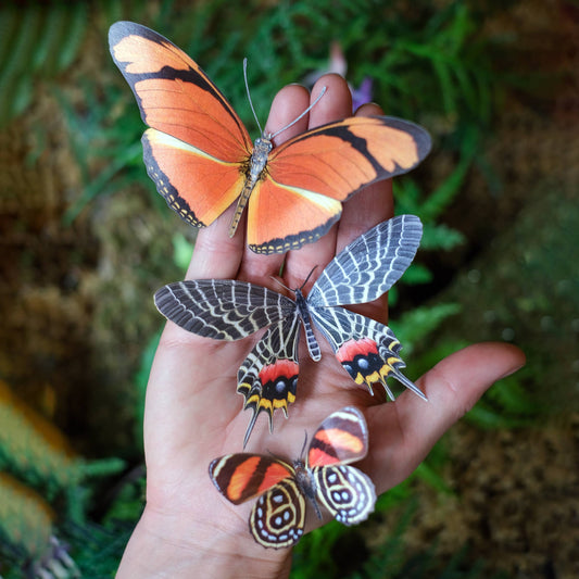 'Flower Child' Psychedelic Butterfly 3 piece Set