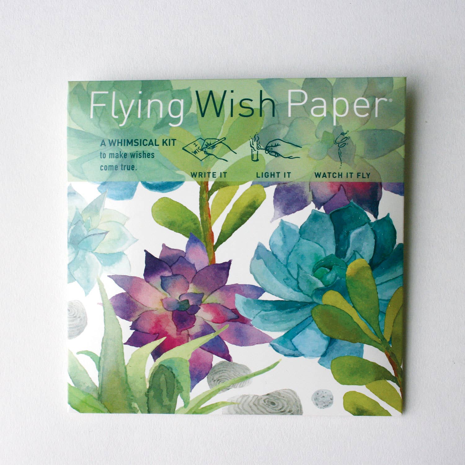 Flying Wish Paper Mini Kit - Cactus Garden – The Paper Canopy