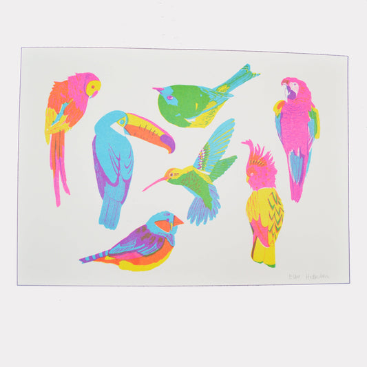 Tropical Bird A3 Risograph Print