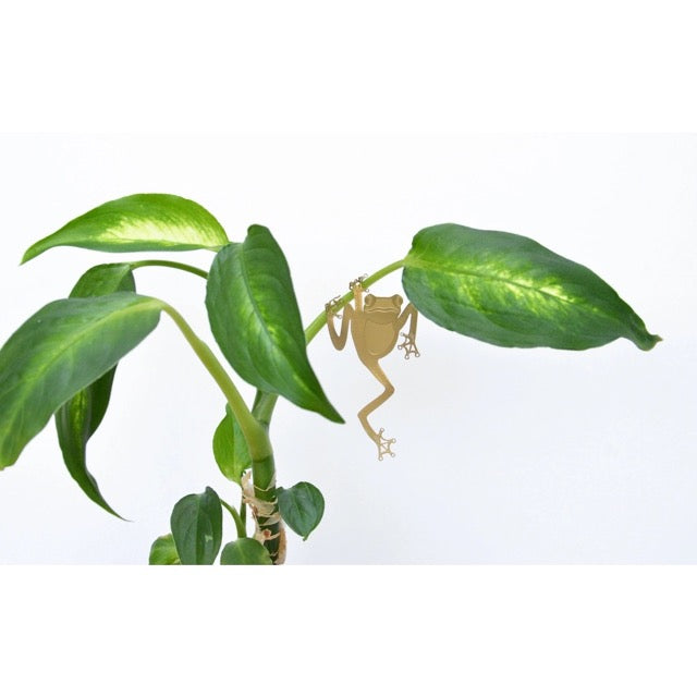 Brass Plant Decoration Tree Frog The Paper Canopy
