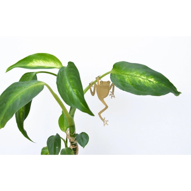 Brass Plant Decoration - Tree Frog